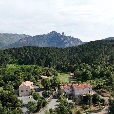 Les Hauts De Cavanello Zonza Bagian luar foto
